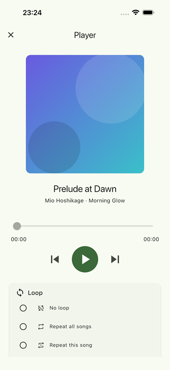 Play Your Music song list