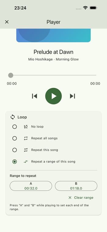 Play Your Music A-B loop settings